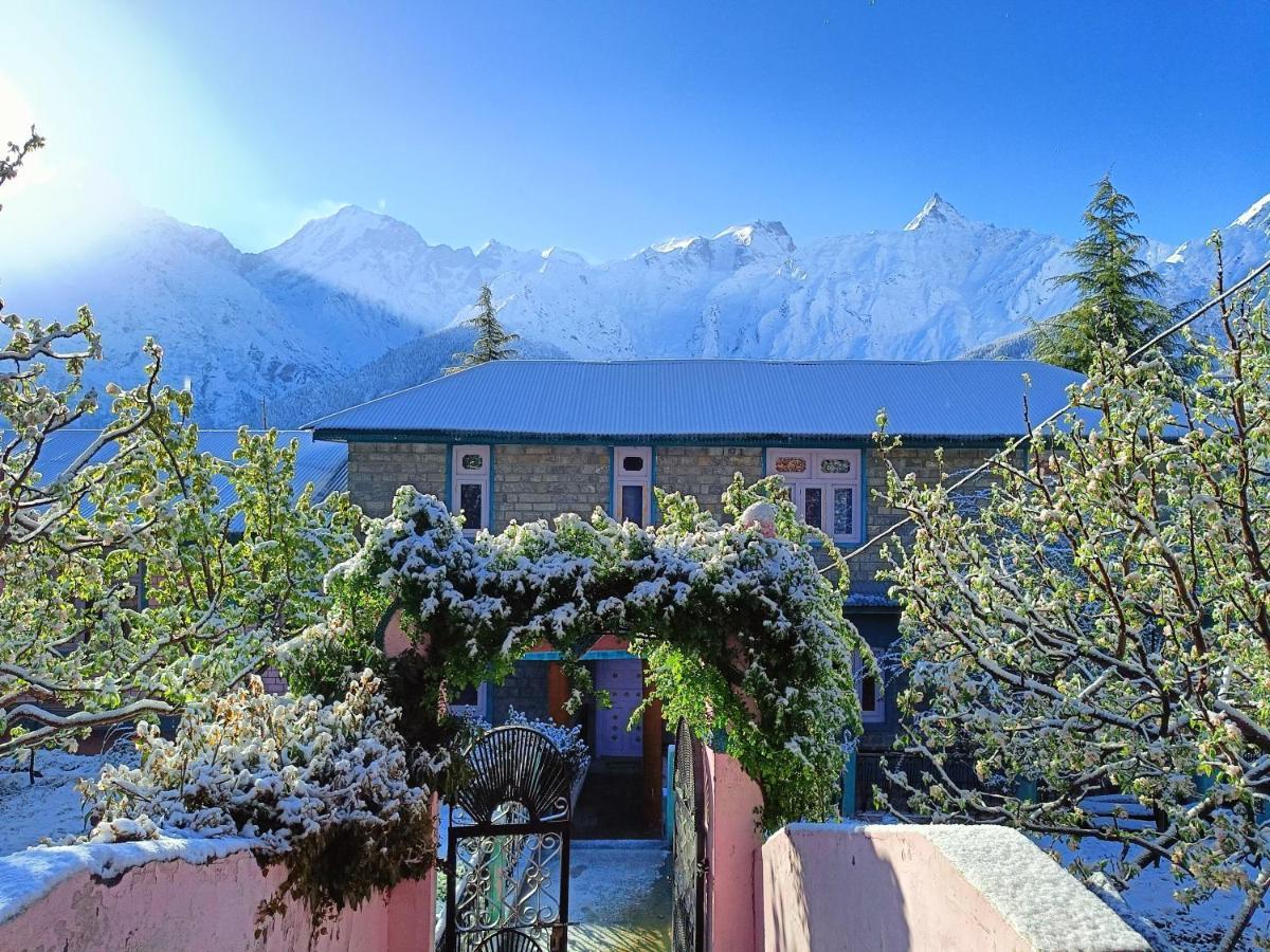 Farmvilla Homestay كالبا المظهر الخارجي الصورة