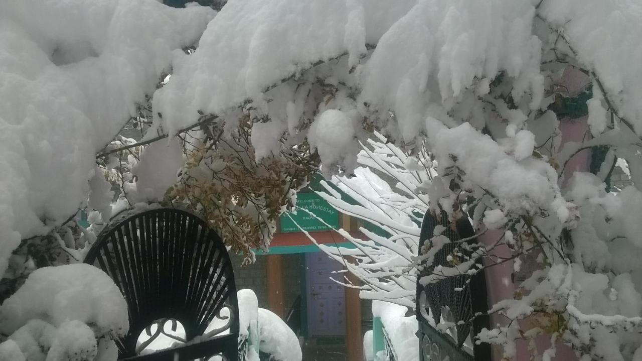 Farmvilla Homestay كالبا المظهر الخارجي الصورة