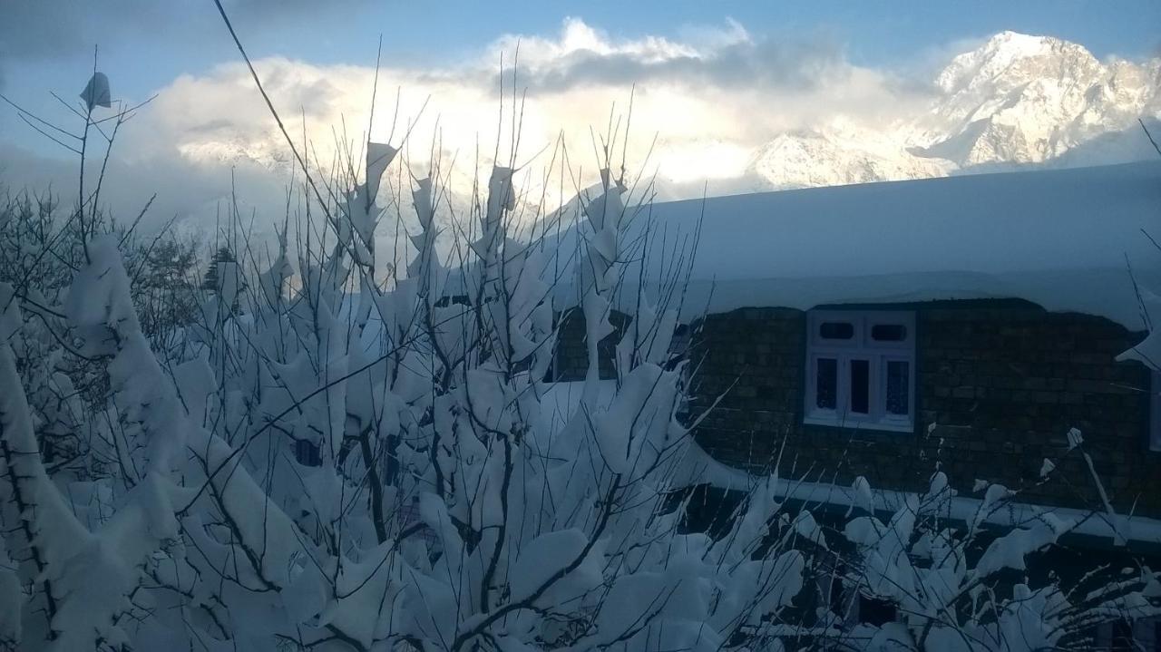 Farmvilla Homestay كالبا المظهر الخارجي الصورة